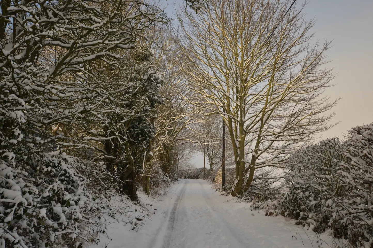 Snowy lane. Represents the cold, that your elderly parent will be particularly susceptible to. 