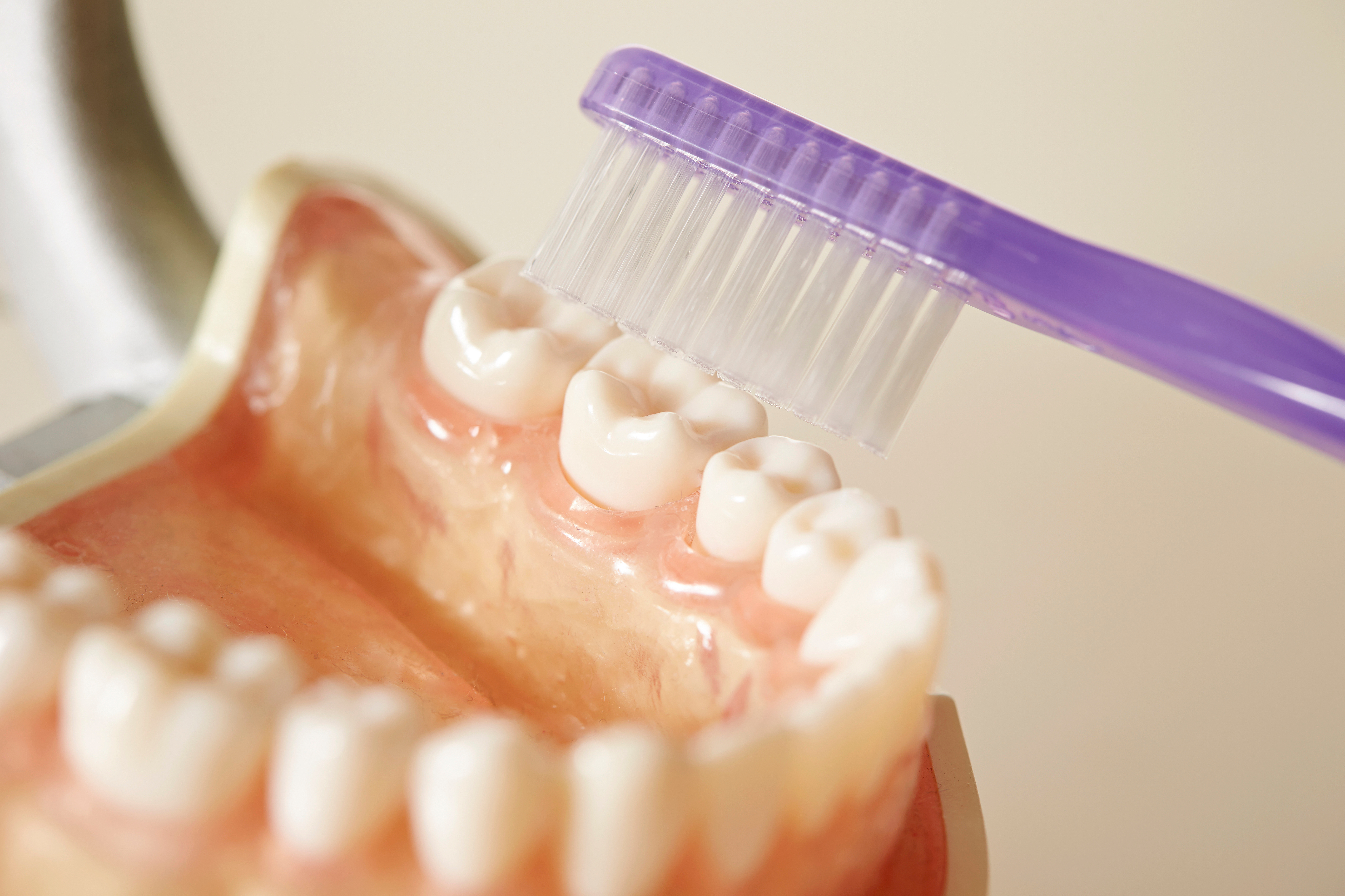 Choosing a denture brush for an elderly parent can be tricky 